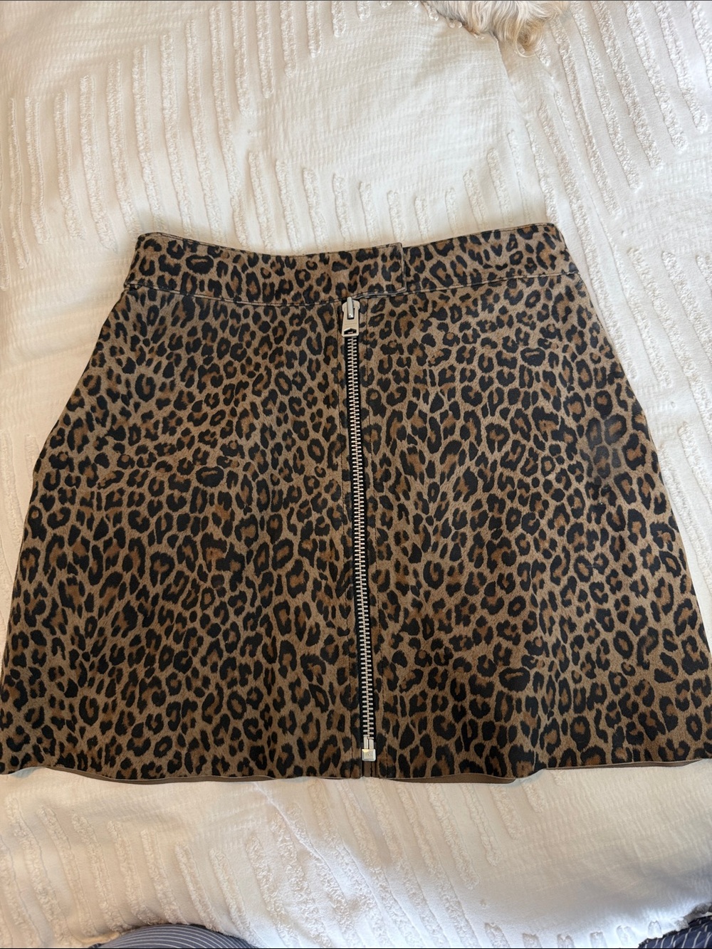 All Saints Cheetah Mini Skirt